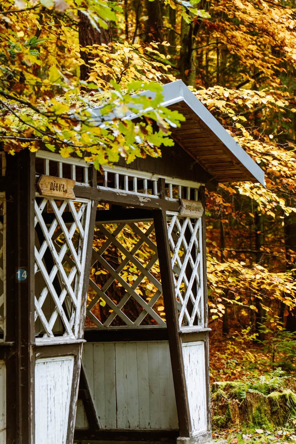 Osada Svatý Linhart Karlovy Vary co navštívit v Karlových Varech