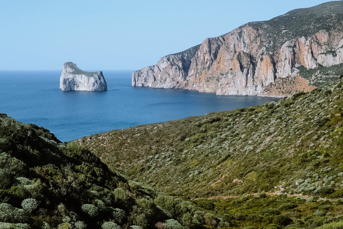 Pan di Zucchero Pan di Zucchero