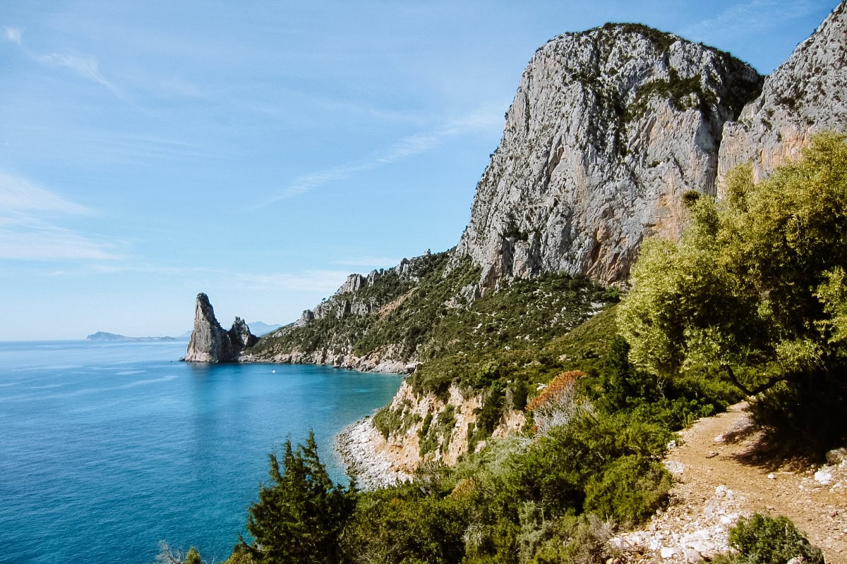 Selvaggio Blu Selvaggio Blu