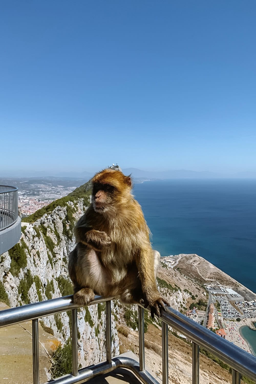 Jak navštívit Gibraltar