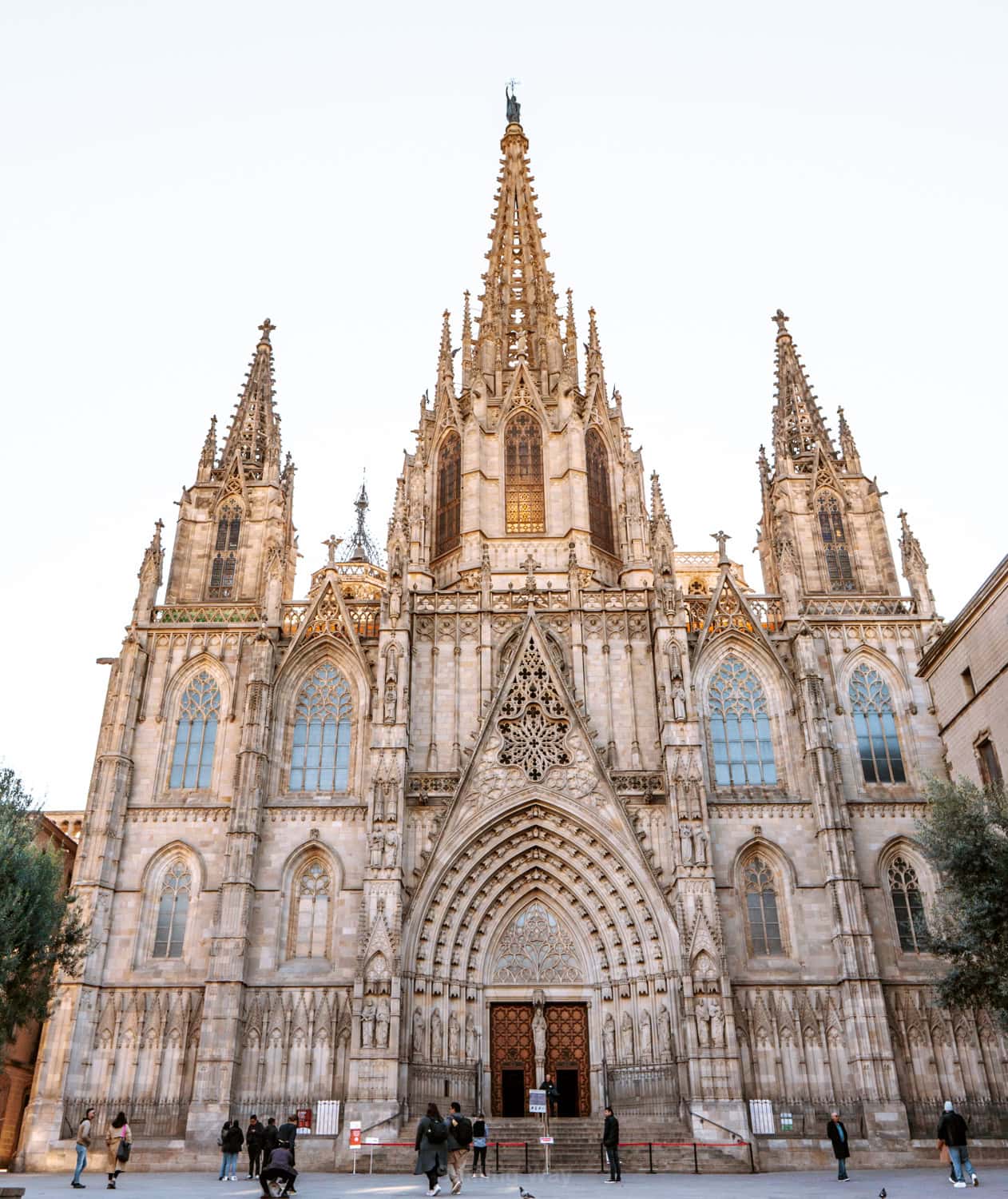 Katedrála v Barceloně