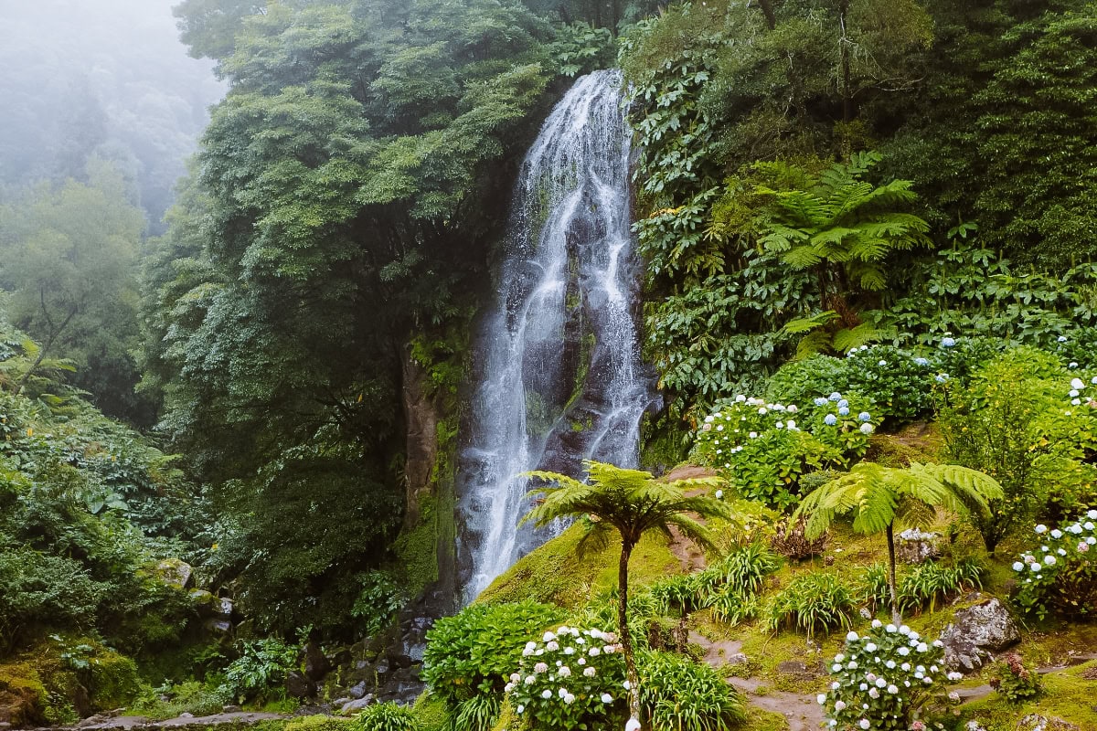 Parque Natural da Ribeira dos Caldeirões