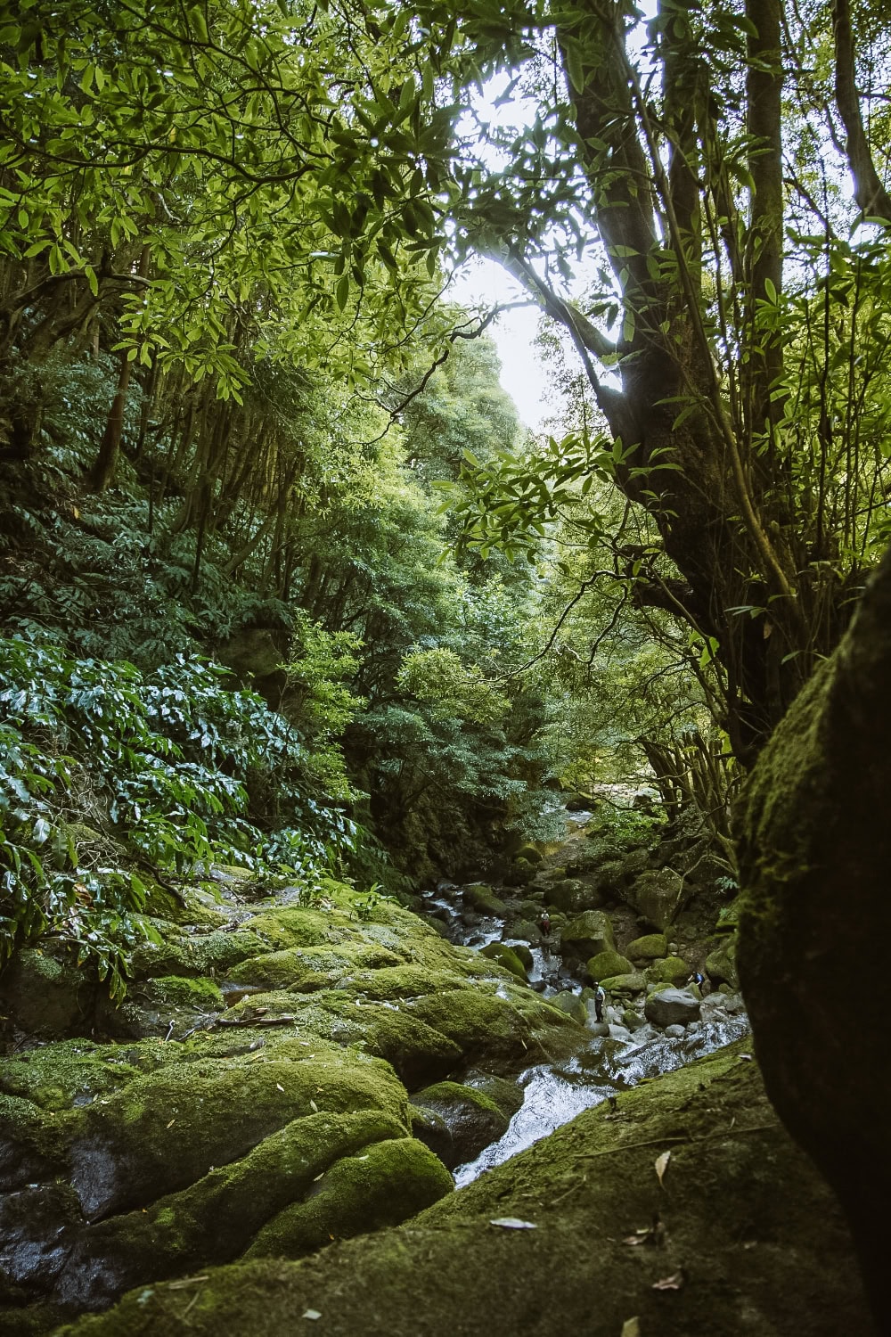 co navštívit na São Miguel