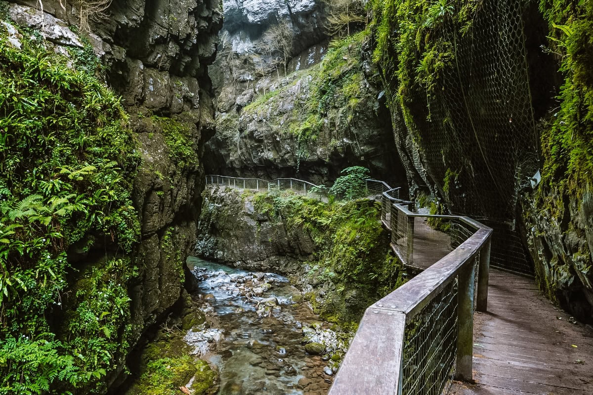 Soutěska Vintgar