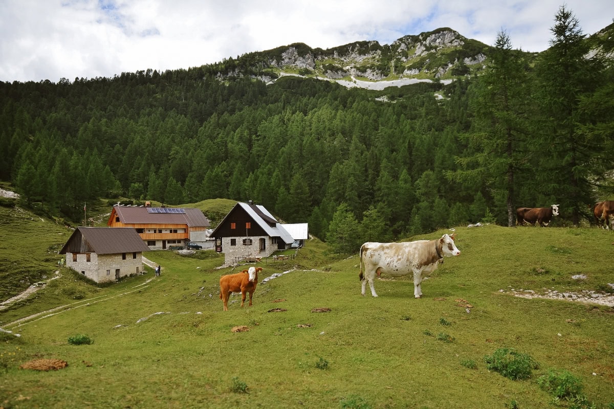 Horská chata Blejska koča na Lipanci