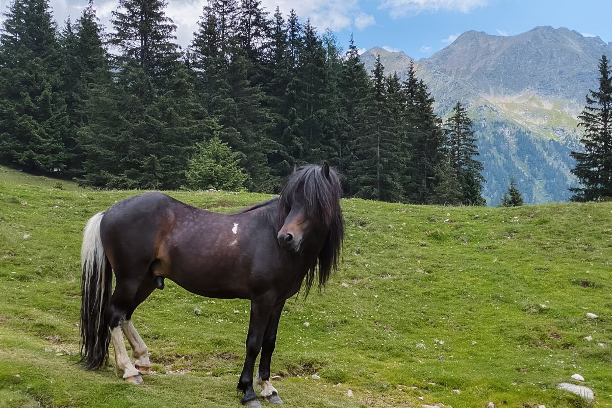 Jezero Duisitzkarsee a údolí Obertal