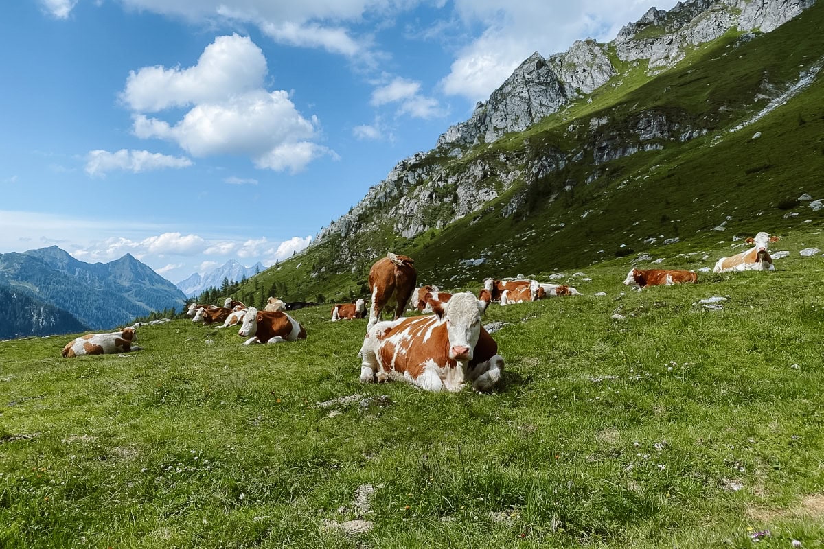 Ursprungalm a horská jezera Giglachseen