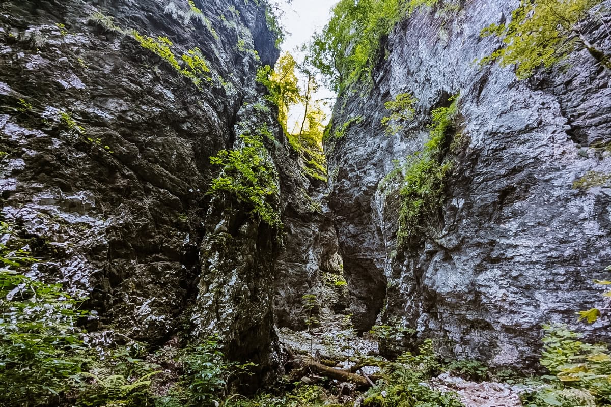 Pokljuška soteska (Pokljucká soutěska)