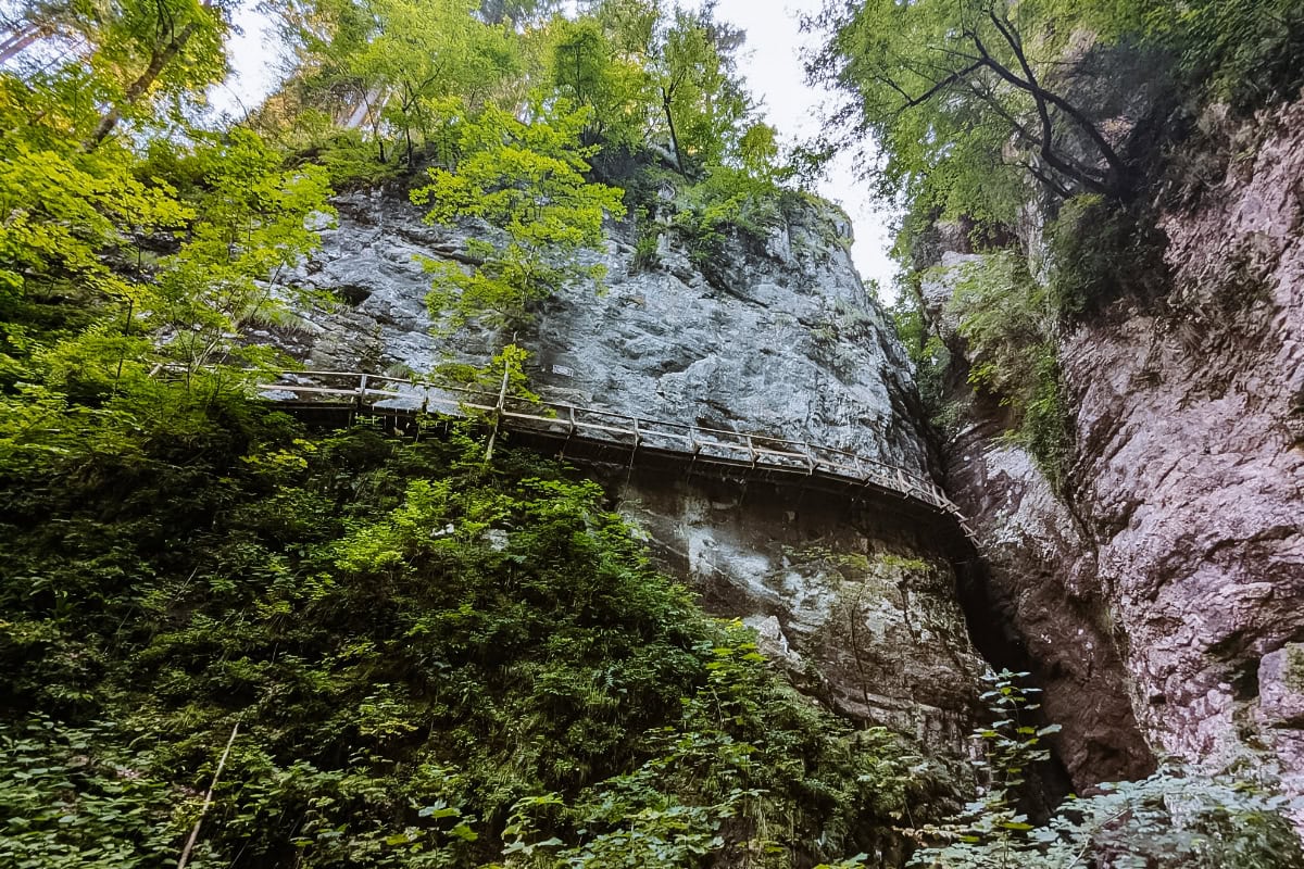 Pokljuška soteska (Pokljucká soutěska)