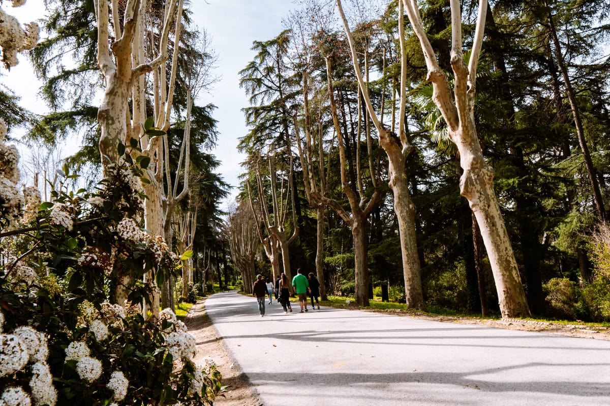 Campo del Moro