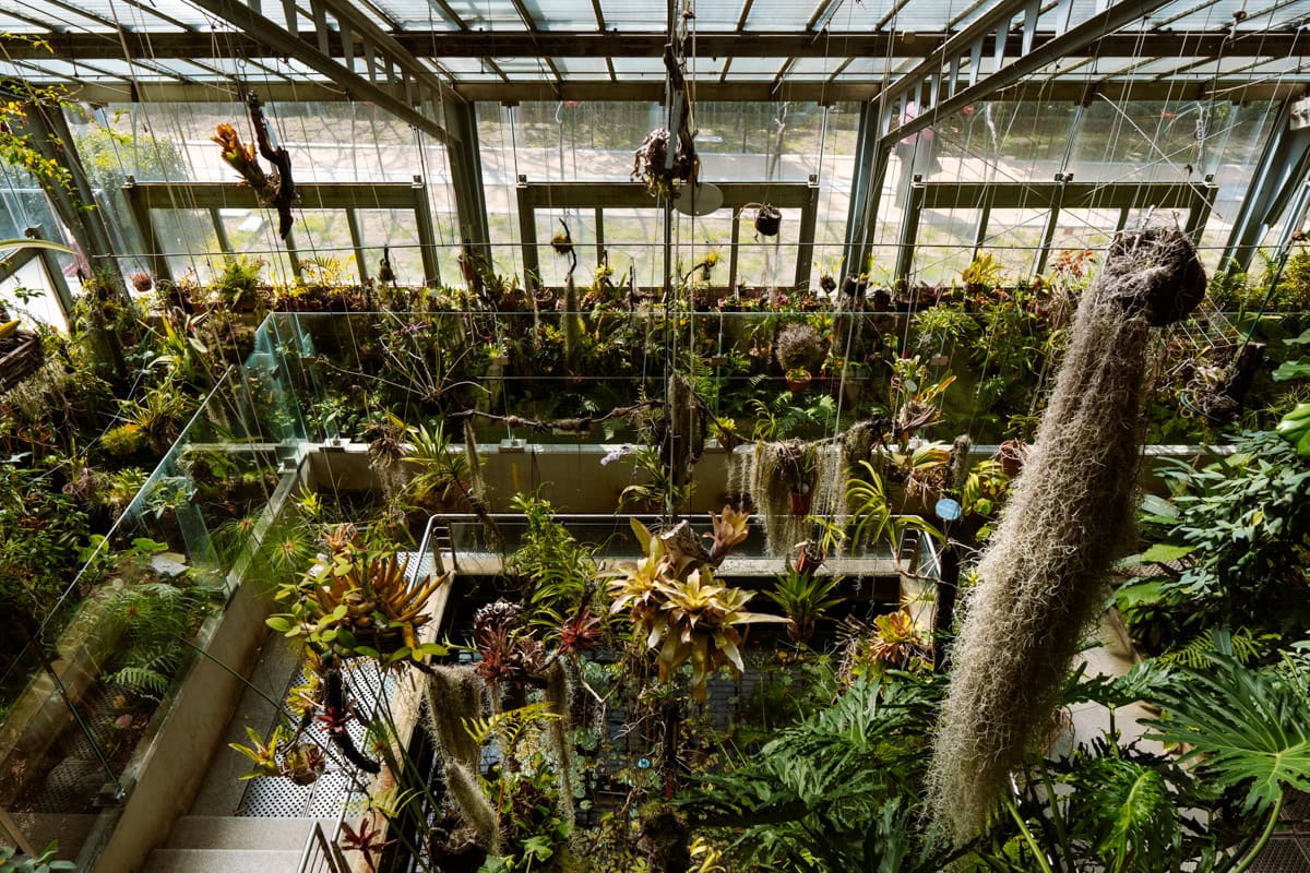 Královská botanická zahrada Madrid