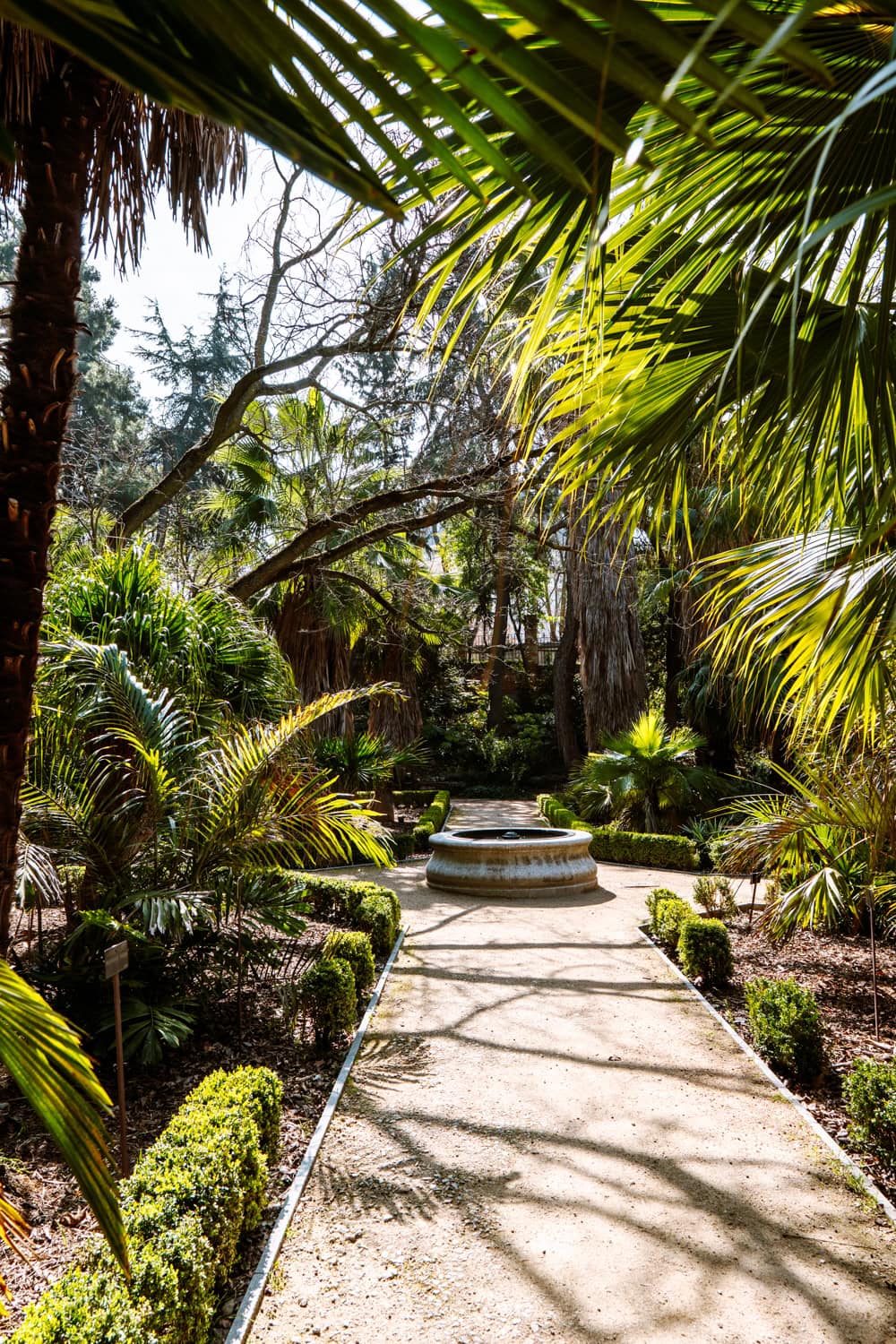 Královská botanická zahrada Madrid