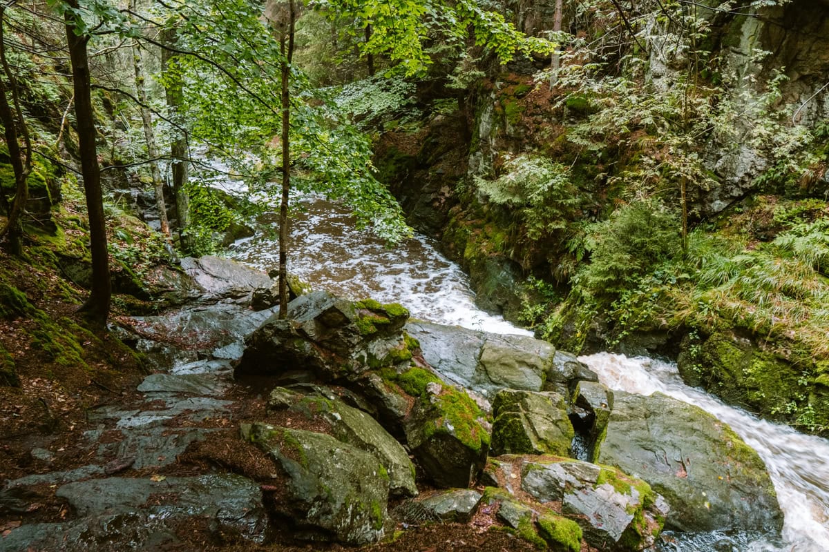 Údolí Doubravy