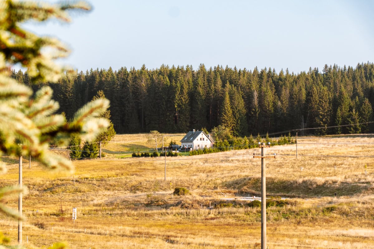 Jelení