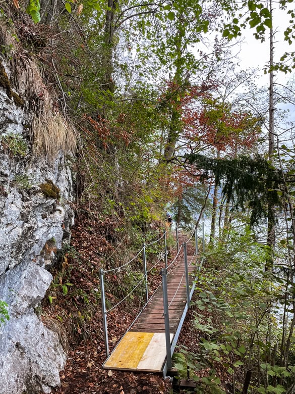 Stezka Miesweg