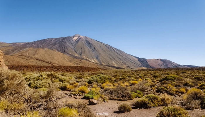 Tenerife